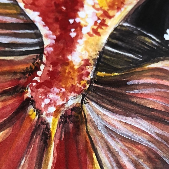 Beautiful gold fish wall art - Picture 3 of 3